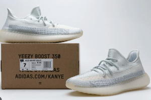 Adidas Yeezy Boost 350 v2 (5317)