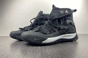 Nike ACG Terra Antarktik Gore-Tex