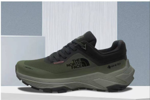 The North Face Gore-Tex Black/Green army
