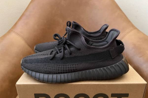Adidas Yeezy Boost 350 V2