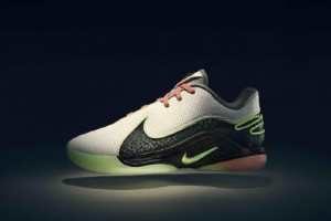 Nike LeBron 22 EP