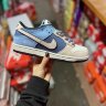 Nike SB Dunk Low