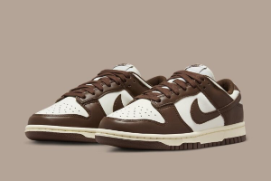 Nike Dunk Low