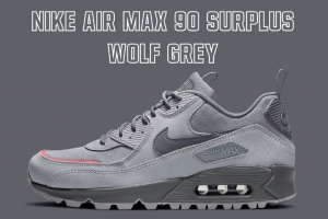 Nike Air Max 90 Surplus Wolf Grey