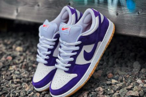 Nike SB Dunk Low Pro