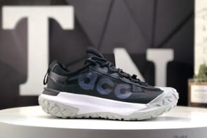 Nike ACG Mountain Fly 2 Low