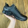 Кроссовки Ecco Biom natural