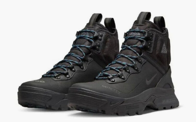 Nike ACG Air Zoom Gaiadome Gtx