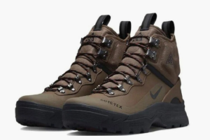 Nike ACG Air Zoom Gaiadome Gtx