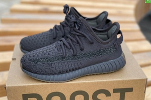 Adidas Yeezy Boost 350 V2