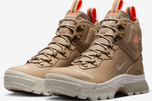 Nike ACG Air Zoom Gaiadome Gtx