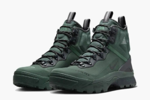 Nike ACG Air Zoom Gaiadome Gtx
