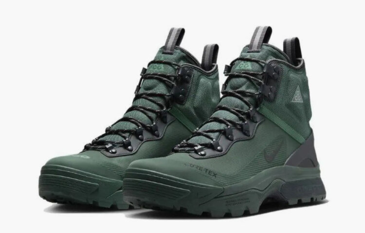 Nike ACG Air Zoom Gaiadome Gtx