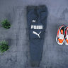 Штаны Puma gray