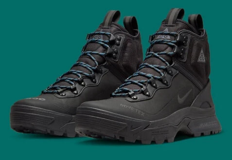 Nike ACG Air Zoom Gaiadome Gtx