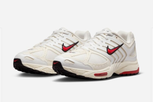 Nike Air Pegasus 2K5